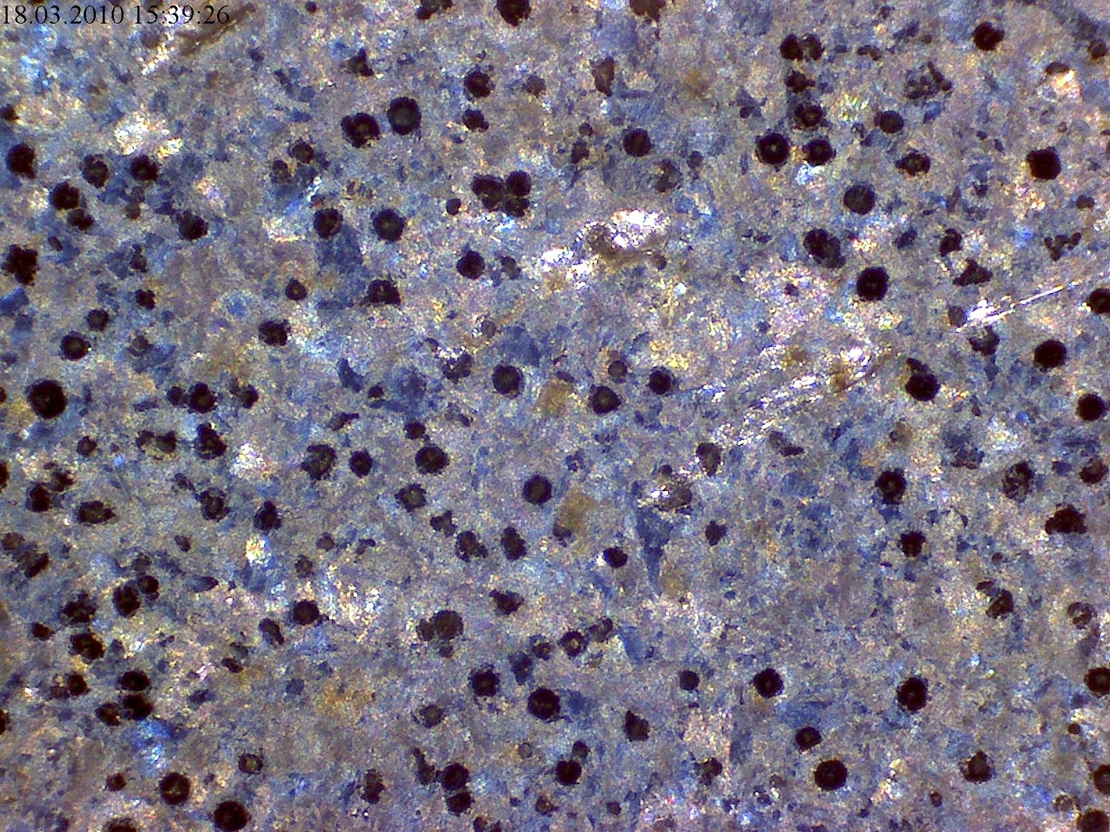 Schliff_Kugelgraphit